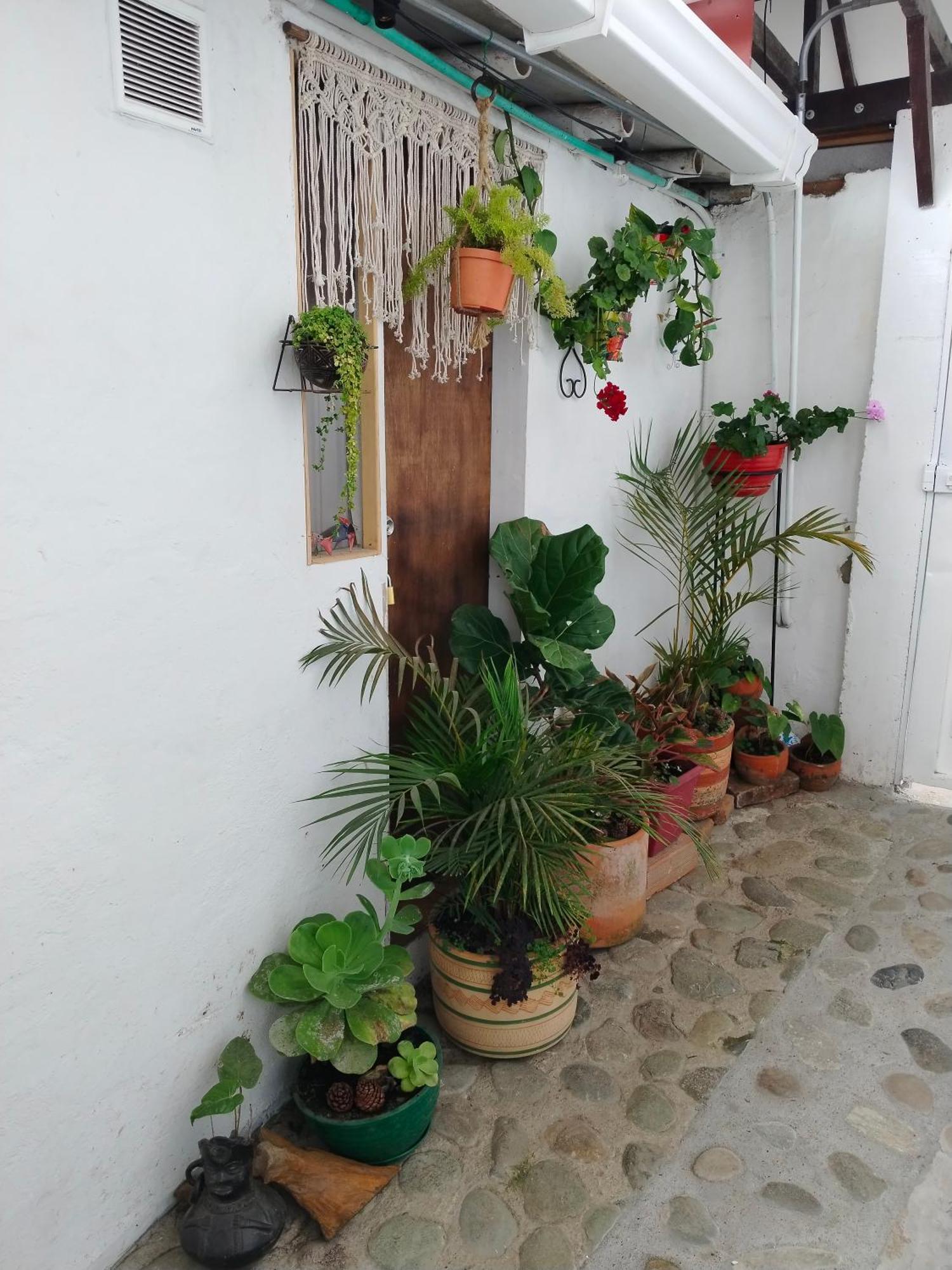 Apartaestudios La Baranda Salento Eksteriør bilde