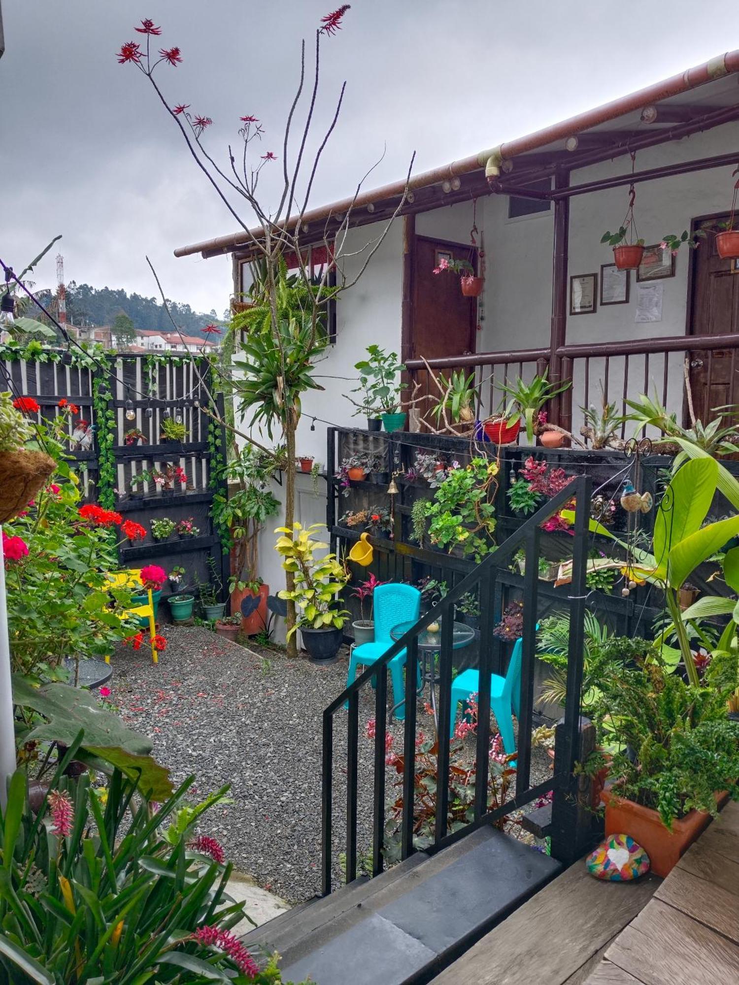 Apartaestudios La Baranda Salento Eksteriør bilde
