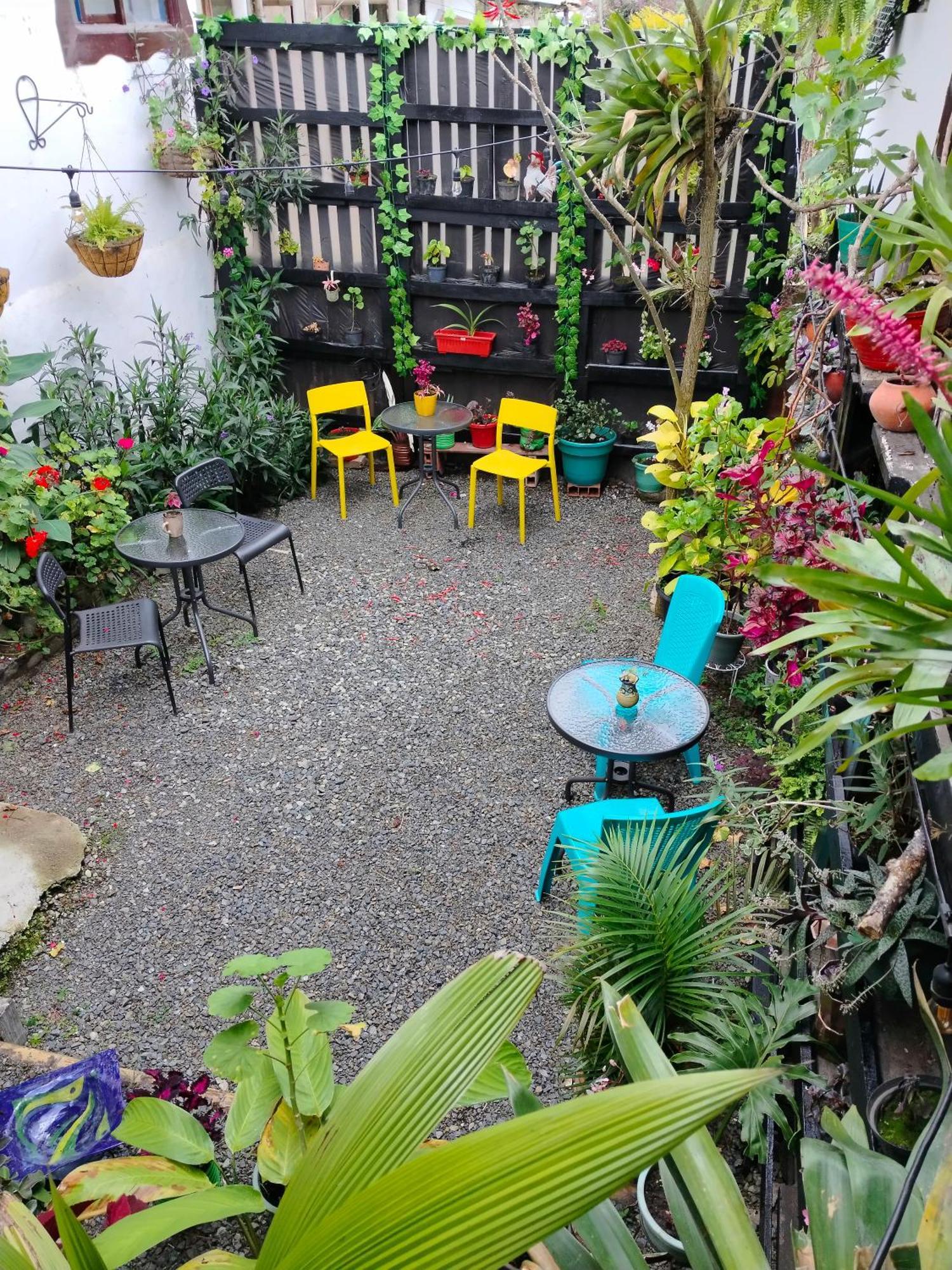 Apartaestudios La Baranda Salento Eksteriør bilde